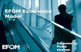 Efqm excellence model