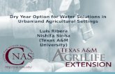 Dry Year Option for Water Solutions in Urban and Agricultural Settings, Dr. Luis Ribera and Nishita Sinha