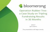 Operation Rubber Tree: a Case Study on Tripling Fundraising Results in 36 Months