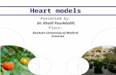 Heart models and diabetes