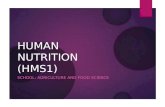 Dn262 human nutrition