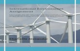 International environment assignment