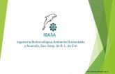 IBASA control de HLB en Citricos