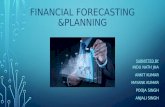 Financial forecasting & planning