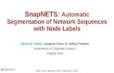 SnapNETS: Automatic Segmentation of Network Sequences with Node Labels