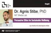 Persuasive cities for sustainable wellbeing: Urban Behaviour change design - by Dr.Agnis Stibe | UX Riga 2017