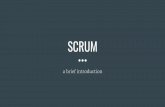 Scrum. A brief introduction