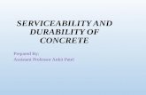 Chapter 2 seviceability and durability