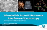 Sensing the Properties of Bubbles and Liquids with Acoustics - Microbubble Acoustic Resonance Interference Spectroscopy