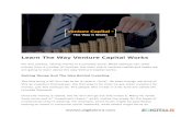 Learn The Way Venture Capital Works