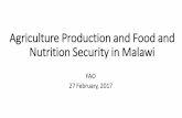 Agriculture food and nutrition security malawi