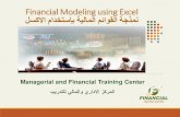 Financial modleing using excel