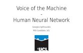 Human Neural Machine