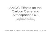 Atlantic Meridional Overturning Circulation Effects on the Carbon Cycle and Atmospheric CO2