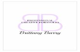 Brittany Barry   professional creative portfolio
