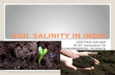 Soil Salinity in India