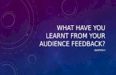 Evaluation Question 3 - Audience Feedback
