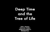 Deep time and the tree of life