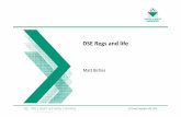 DSE Regulations and Life - Matt Birtles