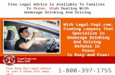 Free Legal Advice Available In Provo, Utah for Parents of Underage Drivers Charged With Drunk Driving