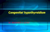 Congenital hypothyroidism  MEDICAL STUDENTS level,