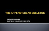Appendicular skeletal system