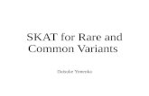 Sequential Kernel Association Test (SKAT) for rare and common variants
