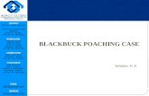 The blackbuck poaching case