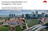 Company Registration in a Singapore Free Zone
