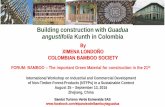 Building construction with Guadua angustifolia Kunth in Colombia