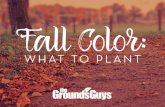 Fall Color: What to Plant | Tips from The Grounds Guys
