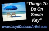 Things To Do On Siesta Key