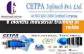 Six months industrial training in noida