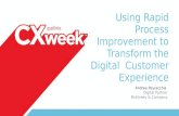 Using Rapid Process Improvement to Transform the Customer Experience
