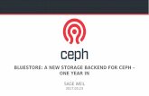 BlueStore, A New Storage Backend for Ceph, One Year In