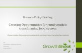 Brussels Briefing 48: Nono Dimakatso Sekhoto "Opportunities for young entrepreneurs in serving urban or semi-urban markets"