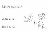 Why Do You Scale: Because You Really Need or Because You Dont Know How to Organise without Scaling?