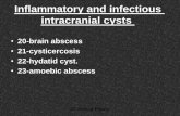 Intracranial inflammatory cystic lesion Dr Ahmed Esawy CT MRI  part 3