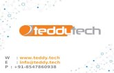 Teddy Tech Company Profile
