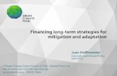 CCXG Global Forum March 2017 Financing Long-term strategies for mitigation and adaptation by Juan Hoffmaister