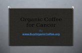 Organic Coffee for Cancer