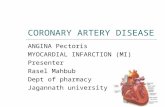 Coronery artery disease
