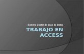 Trabajo en Access(bases de datos)