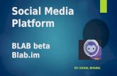 Social media platform - Blab IM beta