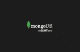 Back to  Basics Webinar 2 - Your First MongoDB Application