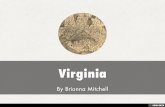 Virginia Profile