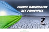 Change Management Key Principles