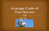 Average costs of tree service