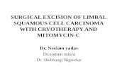Surgical Excision Of Limbal Squamous Cell Carcinoma With Cryotherapy And Mitomycin-C