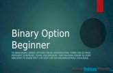 Binary Option beginner